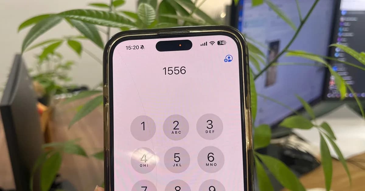 Chi tiết kế hoạch đấu giá trực tuyến đầu số 1556 giá từ một tỷ đồng