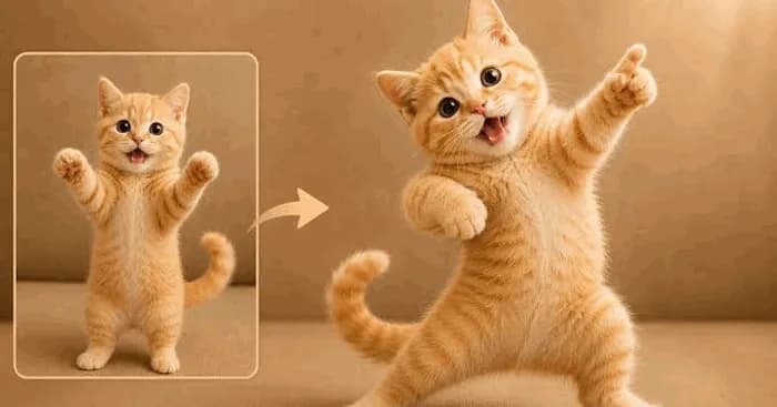 Hướng dẫn chi tiết cách tạo video mèo nhảy múa hài hước bằng trí tuệ nhân tạo AI