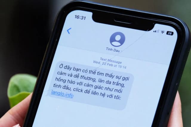 Mức xử phạt lên đến 100 triệu đồng đối với nhà mạng không thu hồi thuê bao phát tán tin nhắn rác